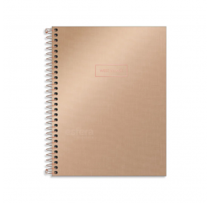 CADERNO 10X1 160FLS CD WEST VILLAGE METALIZADO 235598 TILIBRA