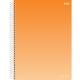CADERNO UNIV. C/D 1X1 80 FLS COLORS SAO DOMINGOS UND